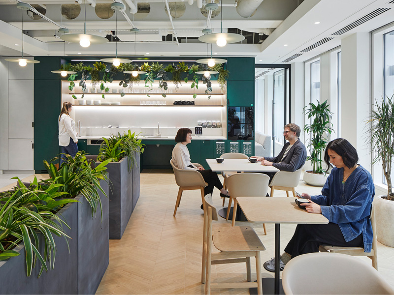 Parkeray Completes Flagship Office Project